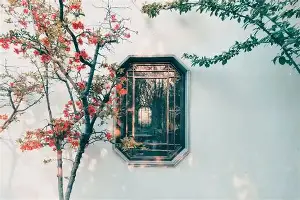 包含本菲卡今晨调整名单塔图姆连续五场比赛得分超过突破纪录，金州勇士今晚完成体检都惊呆了的词条